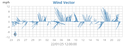 Wind Vector