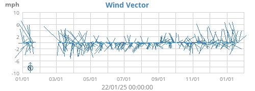 Wind Vector